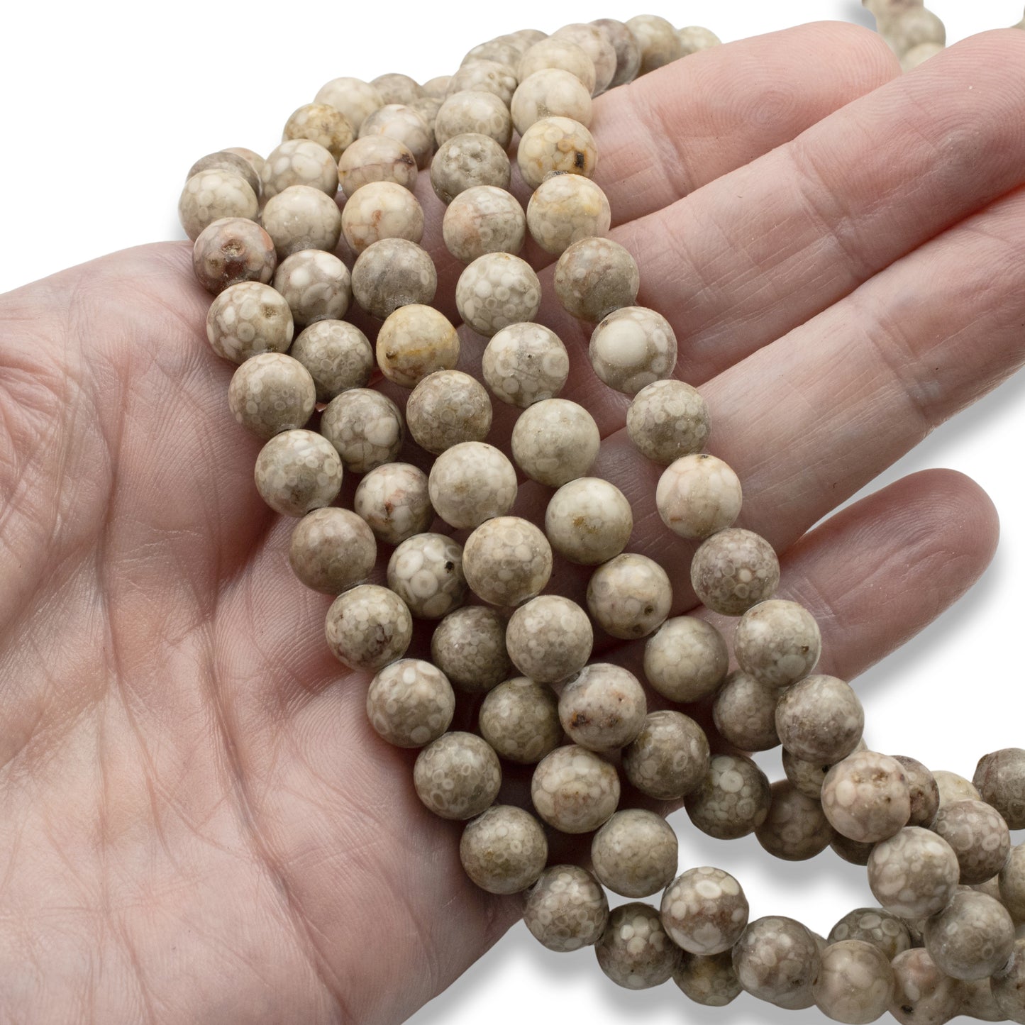 Fossil Jasper Beads 8mm: Natural Tan Gray Stone, Unique Circle Pattern, 15" Strand