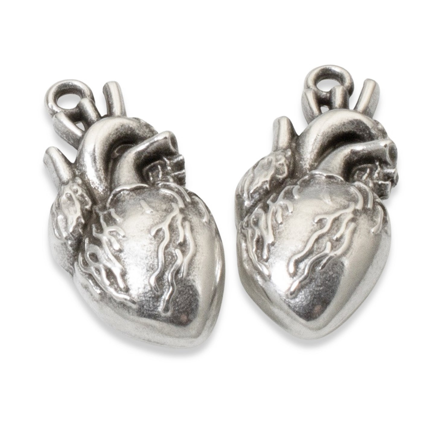 Anatomical Heart Pendants, 2-Pack Sterling Silver Plated Medical Science Gift