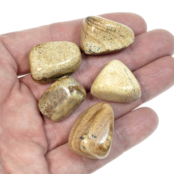 5Pc Picture Jasper Tumbled Stones, Earthy Tan, Brown & Black, For Jewelry Making or Home Decor