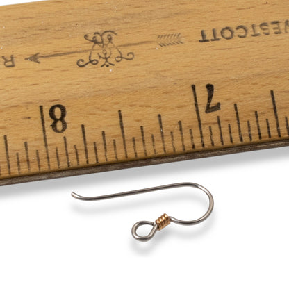 10 Gray Niobium Ear Wires + Copper Coil - Hypoallergenic Earring Hooks