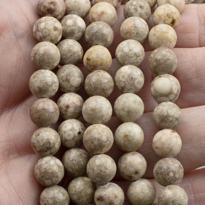 Fossil Jasper Beads 8mm: Natural Tan Gray Stone, Unique Circle Pattern, 15" Strand