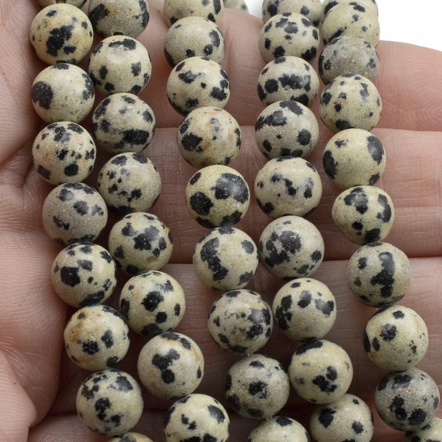 Dalmatian Jasper Beads 8mm, Natural Spotted Stone Beads, Earthy Gemstone, 15" Strand