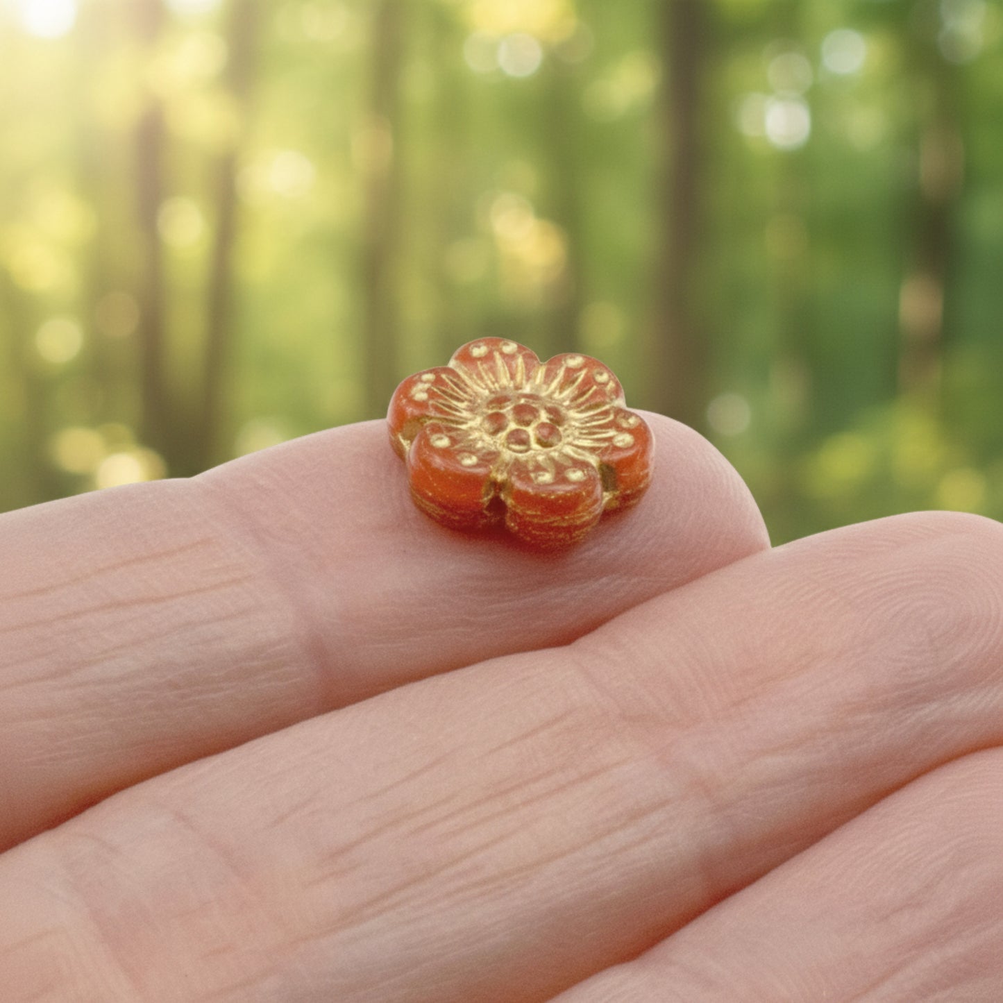 Wild Rose Czech Glass Beads, 8-Pack Burnt Orange Opaline Gold Wash, Flower Beads