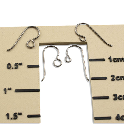 10 Pairs Titanium Ear Wire Starter Set, Hypoallergenic Earring Hooks for Sensitive Ears, Regular & Front Loop Variety