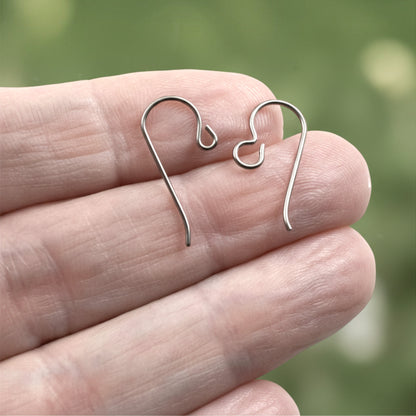 10 Pairs Titanium Ear Wire Starter Set, Hypoallergenic Earring Hooks for Sensitive Ears, Regular & Front Loop Variety