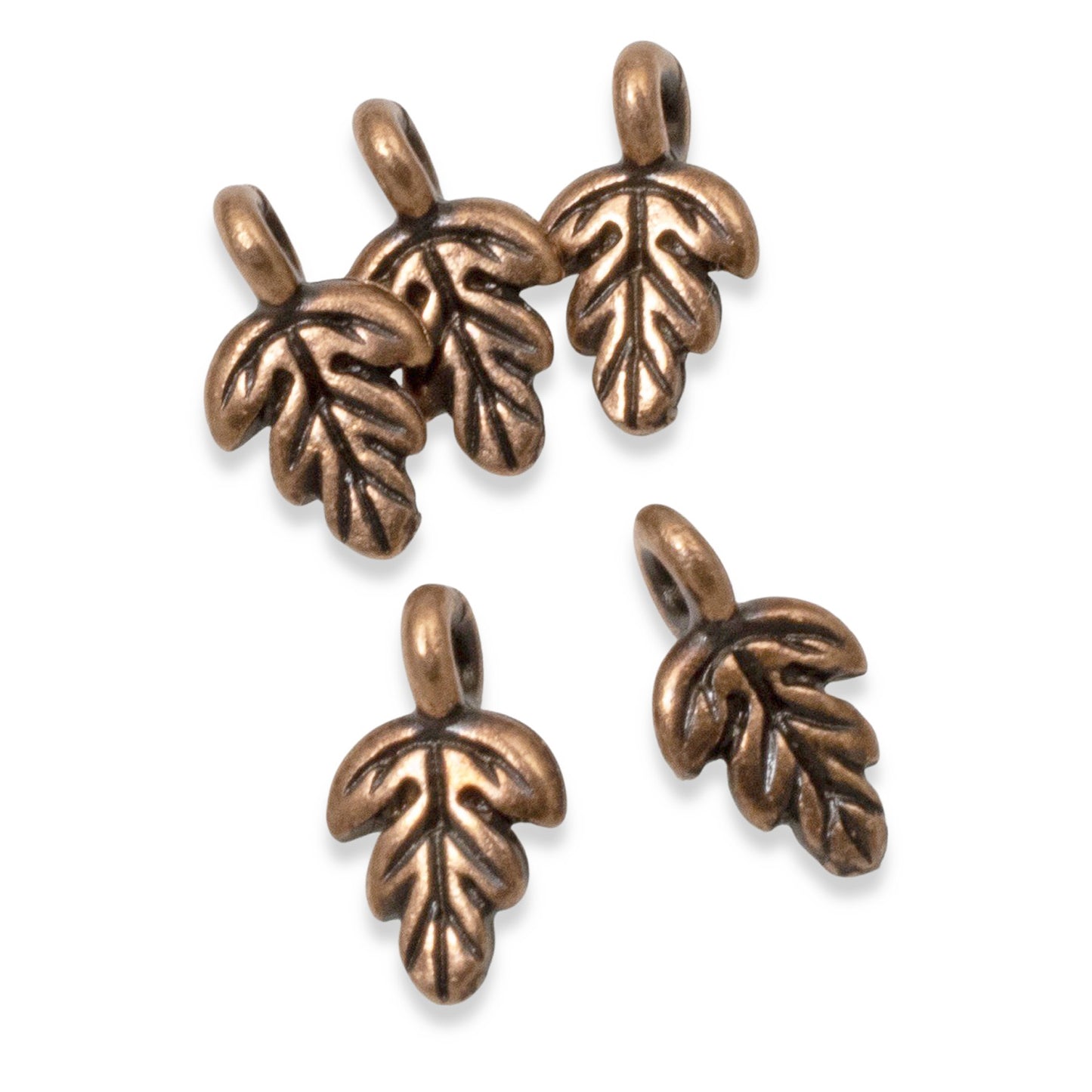 5 Petite Antique Copper Oak Leaf Charms - Detailed & Large Hole for Leather Cord