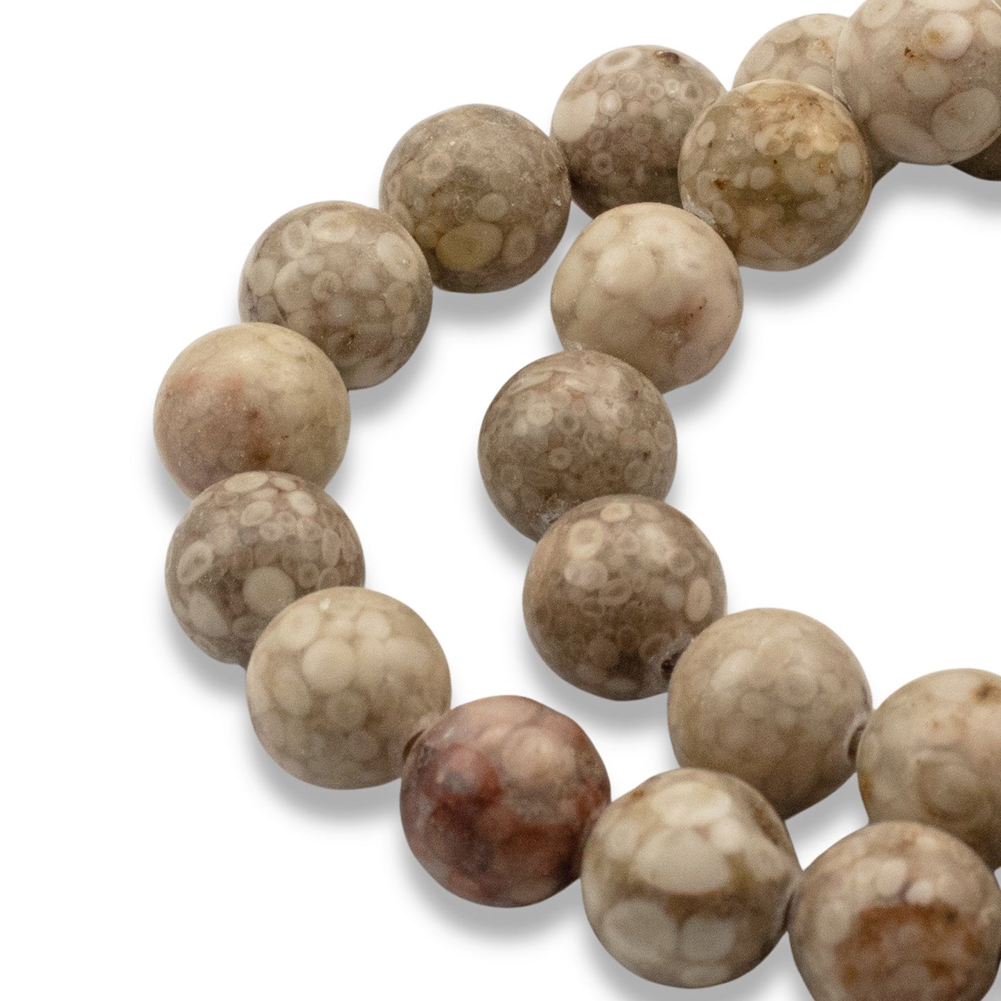 Fossil Jasper Beads 8mm: Natural Tan Gray Stone, Unique Circle Pattern, 15" Strand