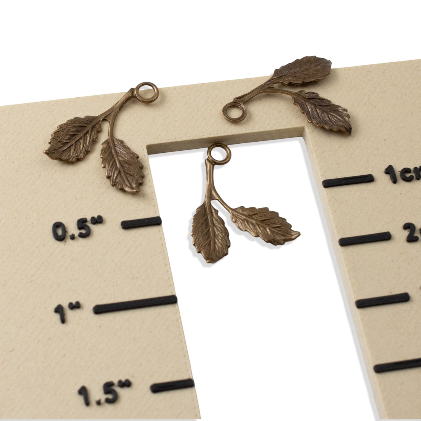 Hackberry Creek antiqued brass beech leaf charms with detailed botanical texture on a measuring display card.