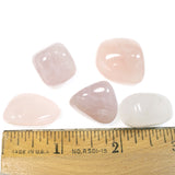 5-Pack Rose Quartz Tumbled Stones, Smooth Rock Nugget, No Hole/Undrilled