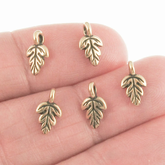 5 Gold Oak Leaf Charms, TierraCast Pewter Tiny Nature Drops for DIY Jewelry